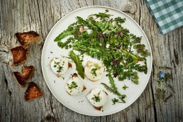  Wiesenkaeuter Salat mit gegrilltem Ziegenkaese foodfotograf kraeuterkueche